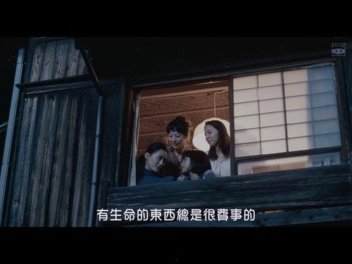 怨女日记 在线观看,揭开女性内心世界的情感密码